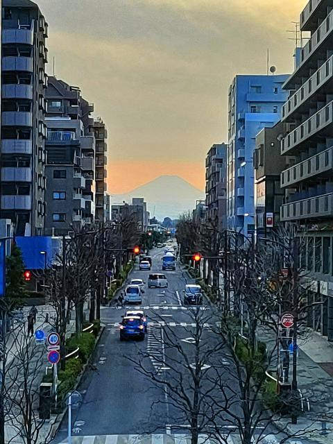 富士山240224